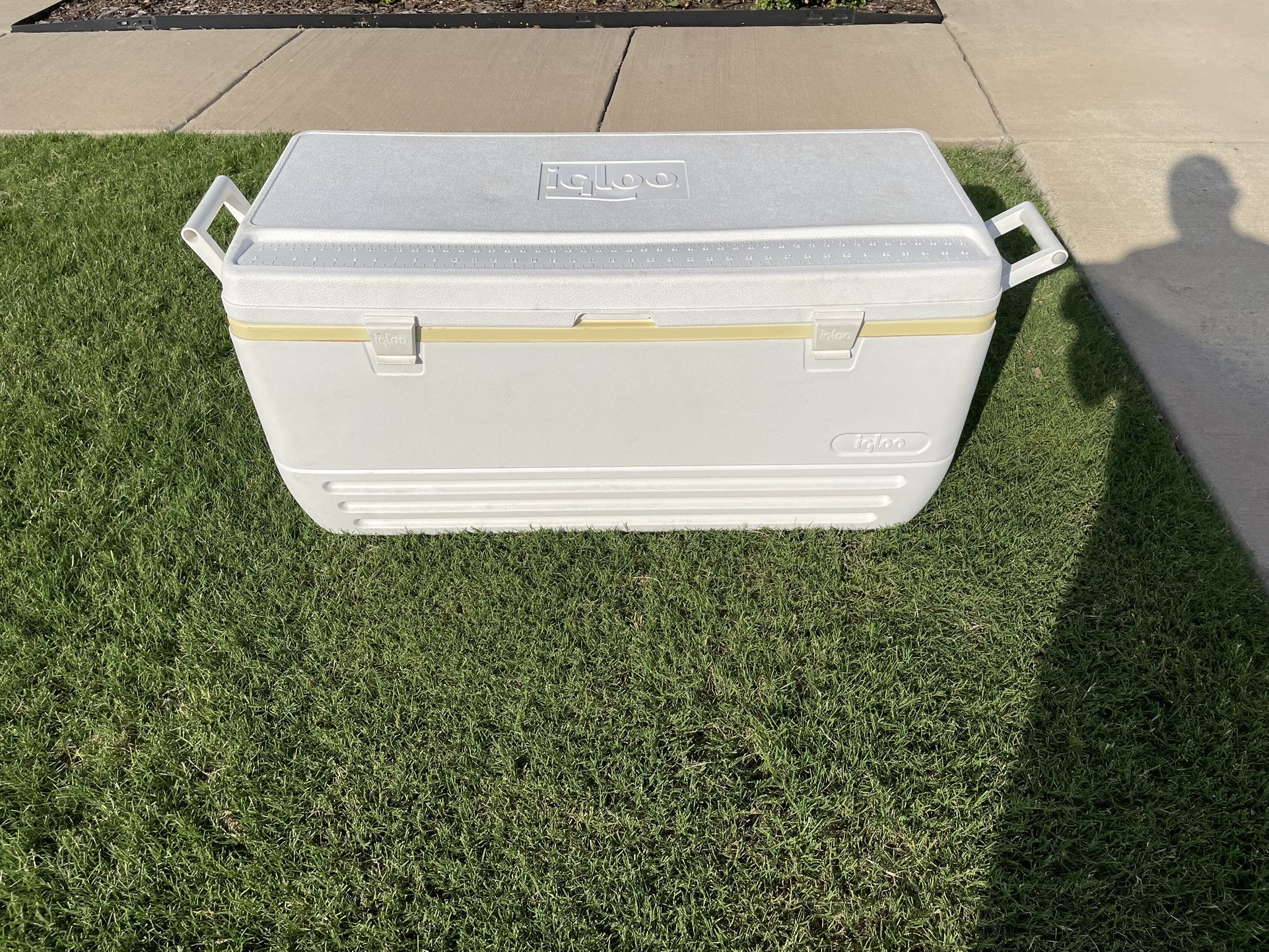 150 quart Igloo cooler