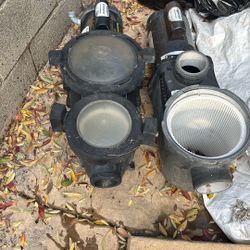 Jandy Pool And Pond Pump.  