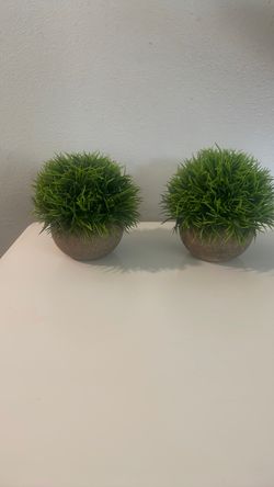 Artificial plants