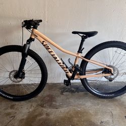 Specialized Mountain Bike 