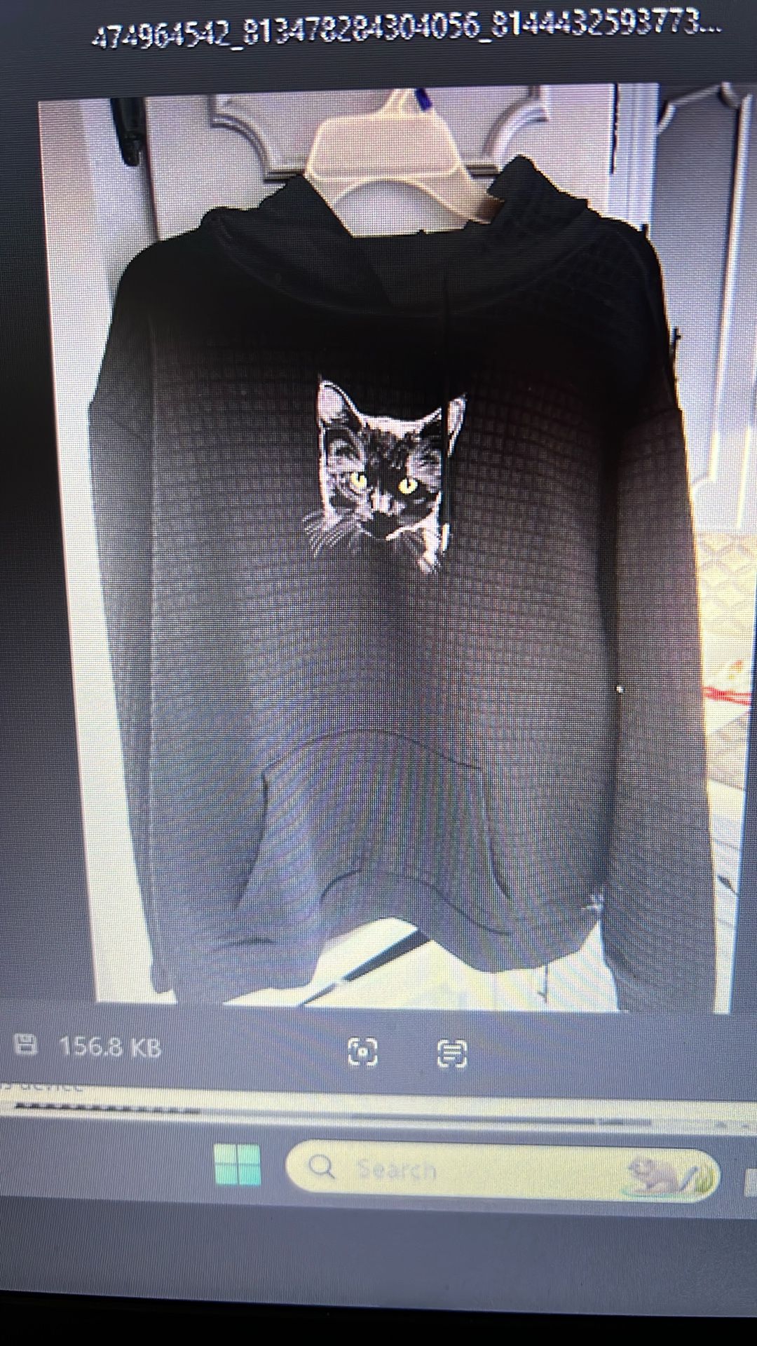 Doggie Sweatshirts