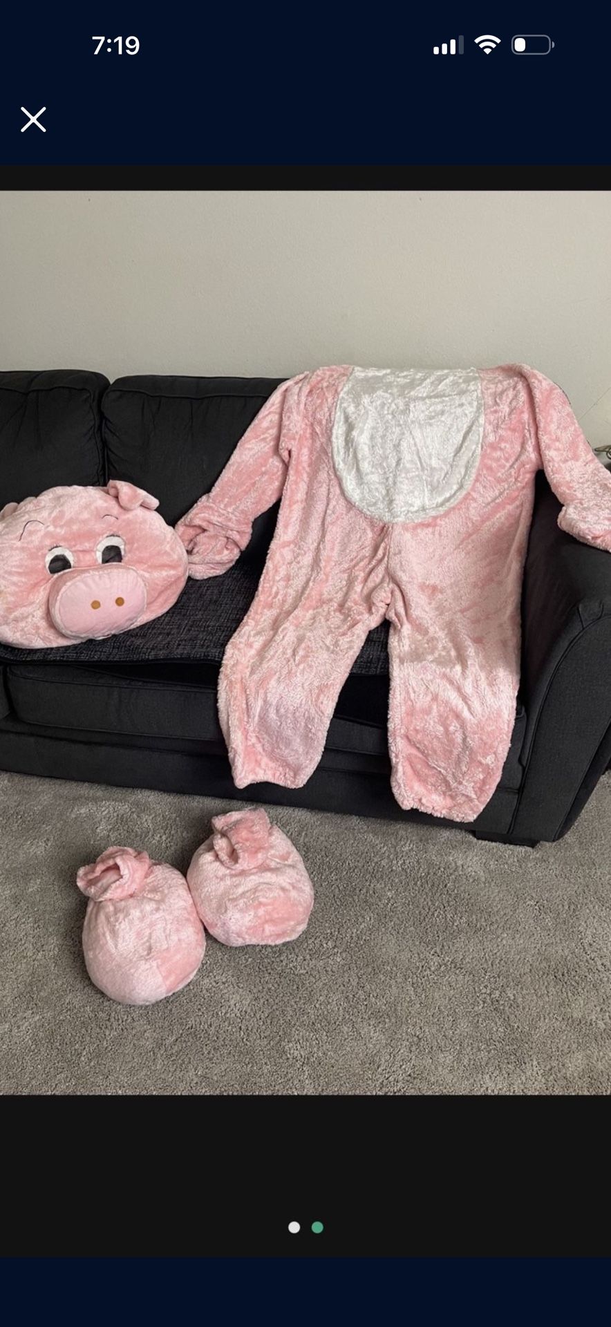 Pig Costume Like New