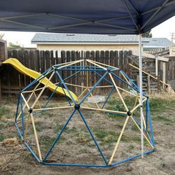 Jungle Gym 