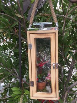 Large wood and glass candle holder with succulent plants and ferry garden