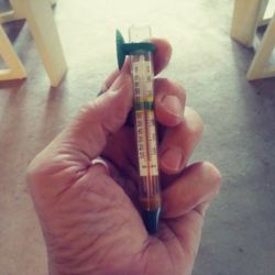 AQUARIUM THERMOMETER / FLOAT OR STICK-ON ONLY $3

