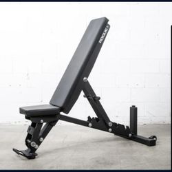 Rogue Adjustable Bench 2.0 (Titan Fitness Elite Fts Barbell Weights Olympic Dumbbell)