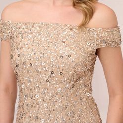 Stunning Formal Champagne Adrianna Papell Gown Size 16