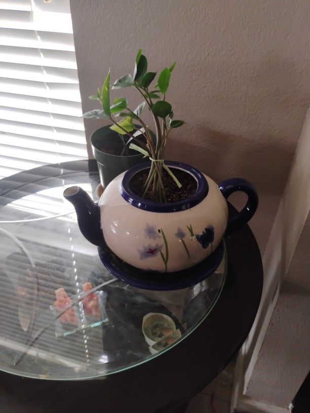  Big Plant Tea Pot 