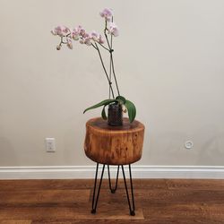 New Natural Stump End Table