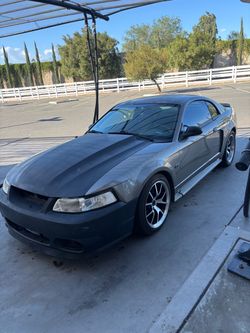 Mustang gt