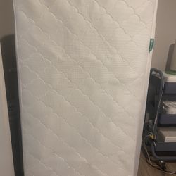 Newton crib mattress & Waterproof Mattress Pad
