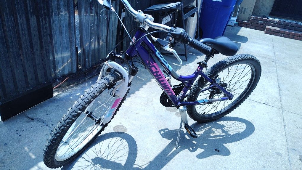 Schwinn Bike