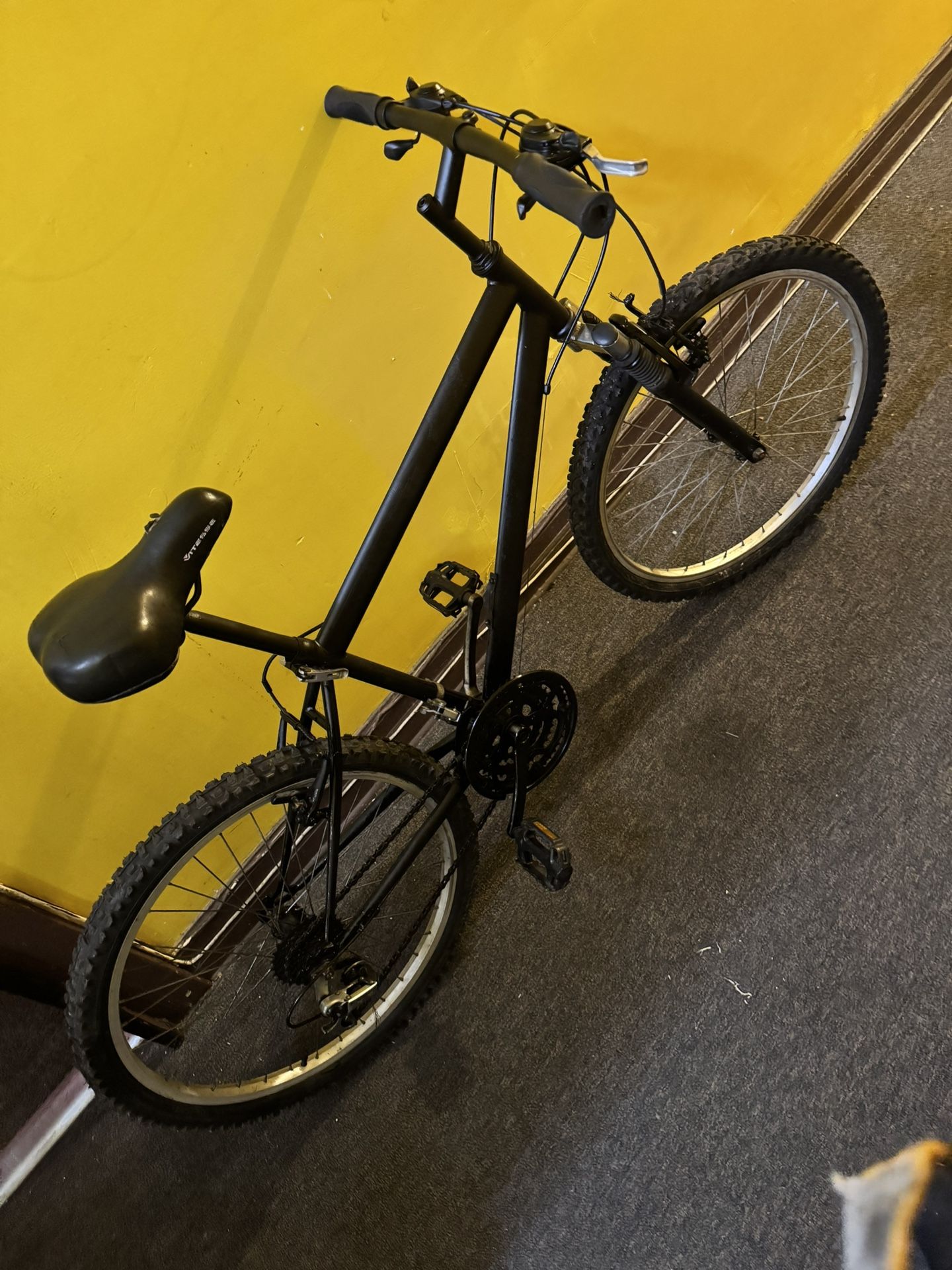NICE BIKE $60