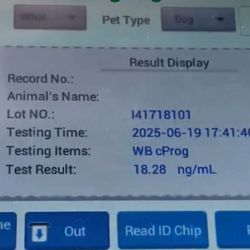 Progesterone Testing 