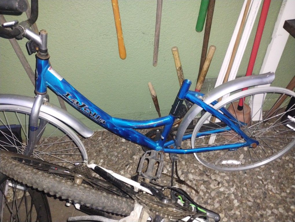 Blue Bike