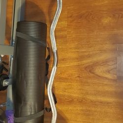 Weighted Plates And Ez Curl Olympic Bar W Plates For Weight