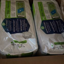 Large Daily Brief Diapers 