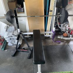 300lbs weight plates + olympic barbell + bench (commercial)