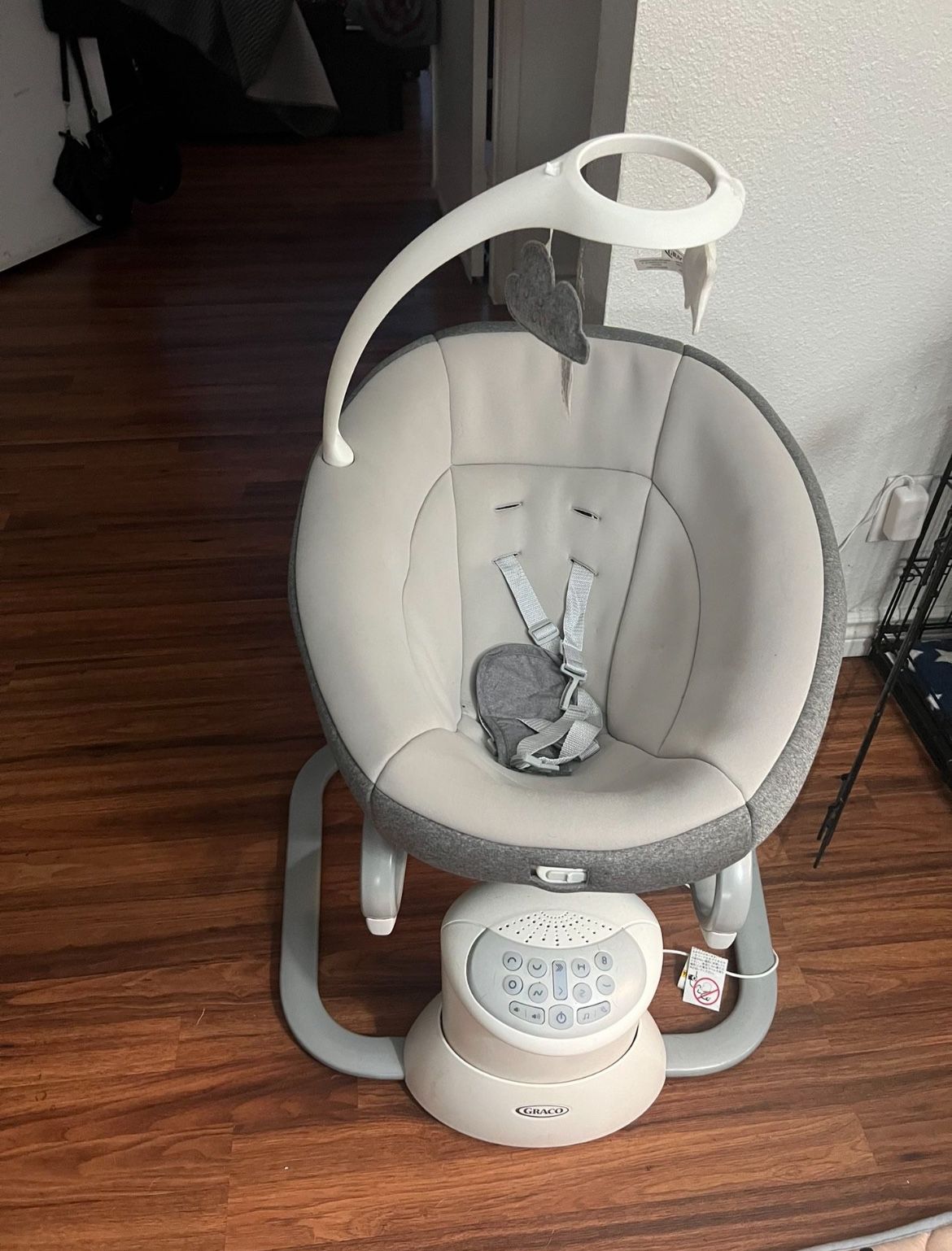 Graco Infant Swing