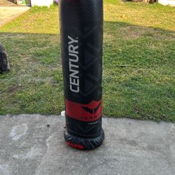 Freestanding Punching Bag