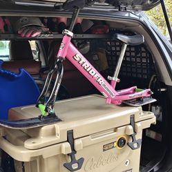 Strider Balance Snow Bike 