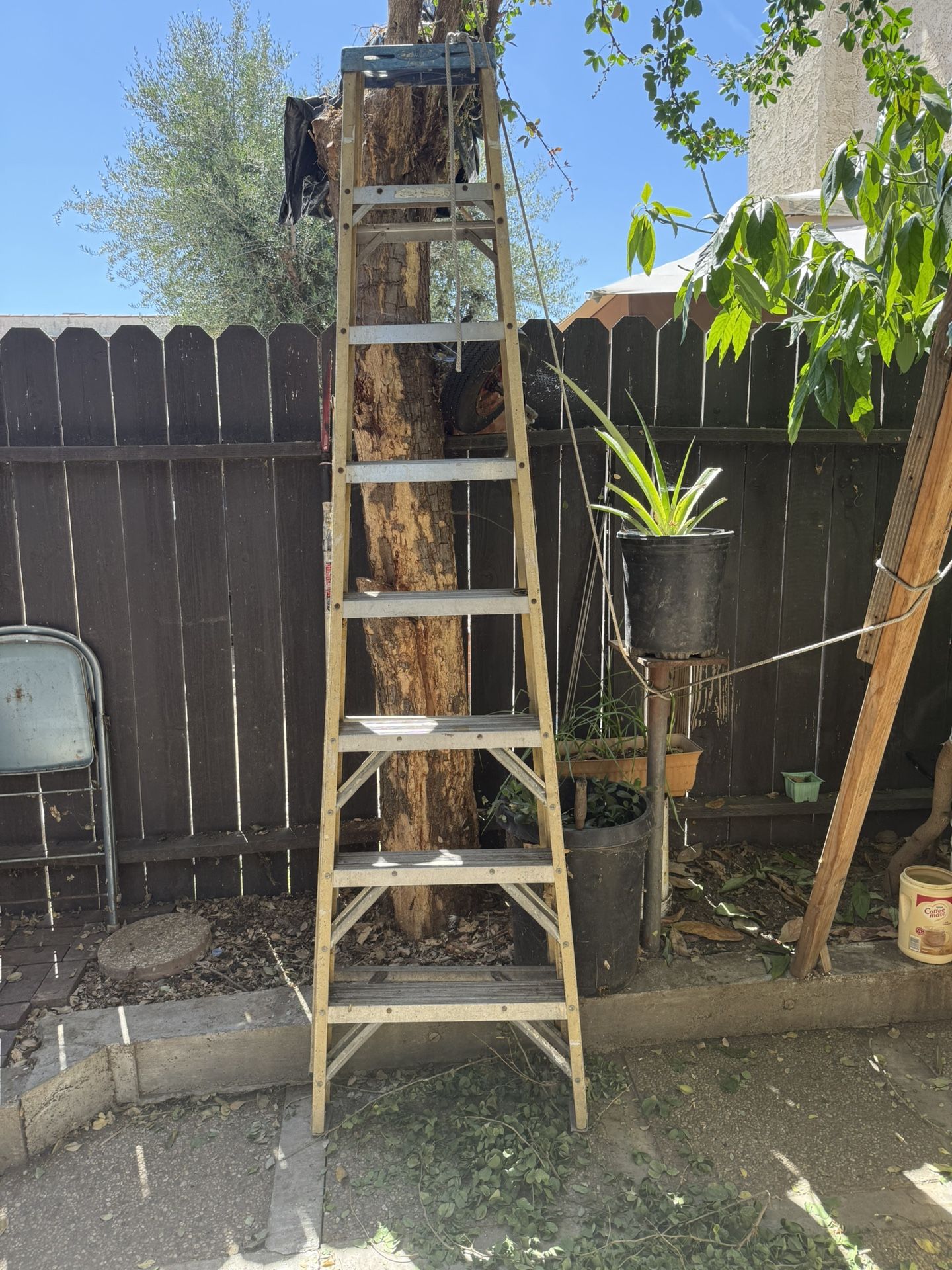 7 1/2 Ladder
