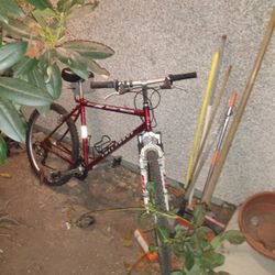 Thunder Mountain Bike Full Force