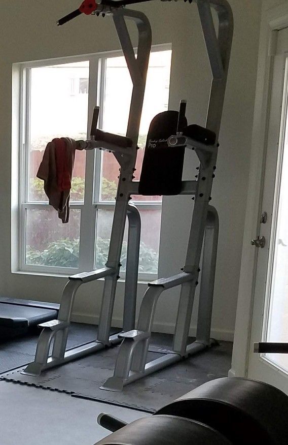 BODY SOLID PRO CLUB LINE - Vertical Knee Raise