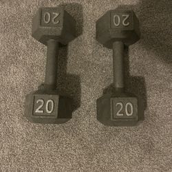 20 Pound Dumbbells 