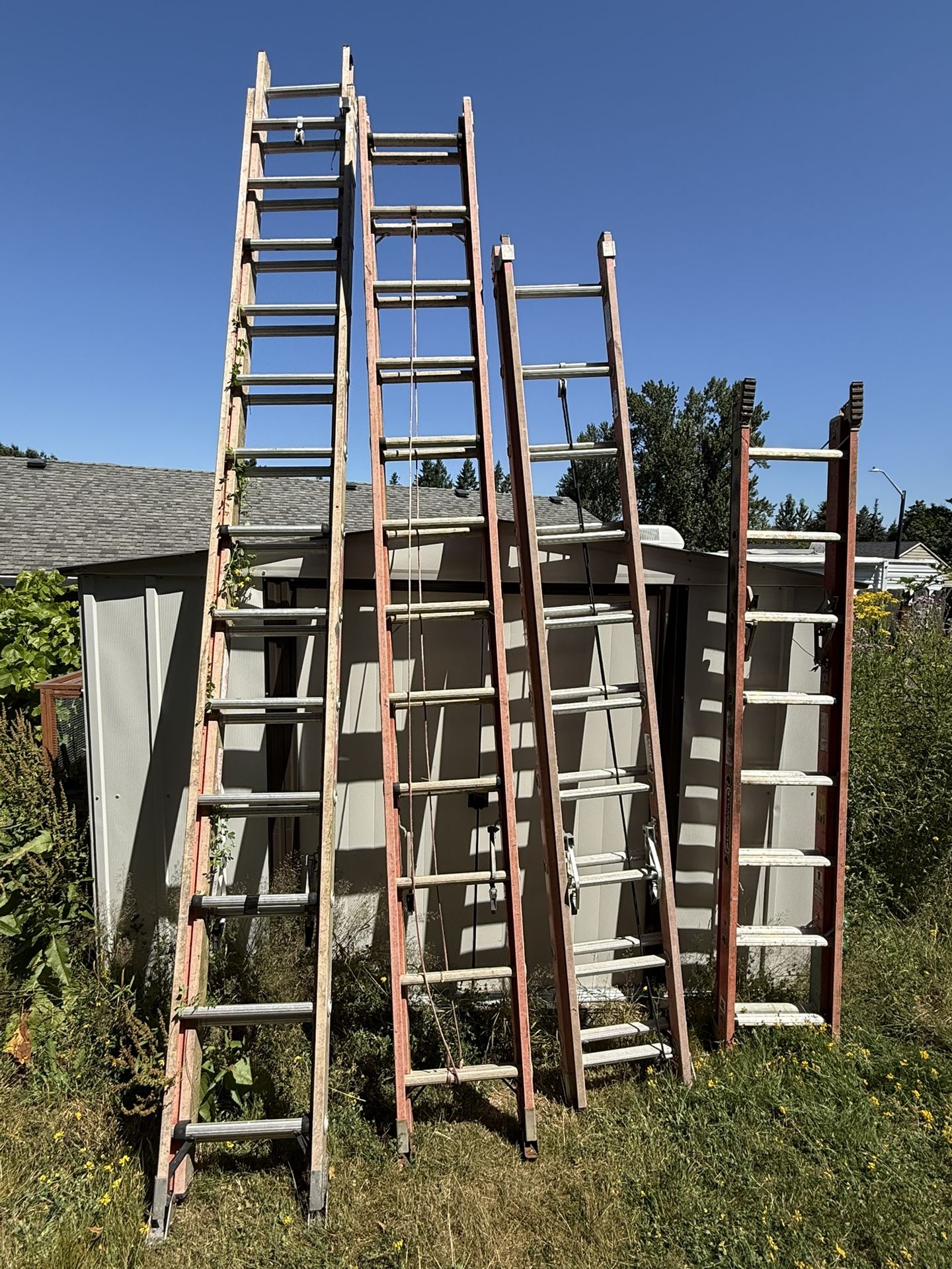 40ft Ladders