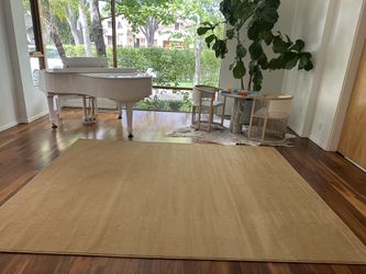 8/10 Brand New Tan Beige Rug 