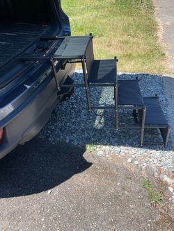 Car steps for dogs