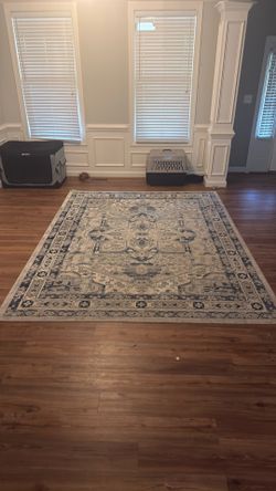 Beautiful CLEAN rug with a mix of blue and white design