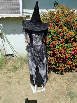 Child Witch Costume Size Large 12-14