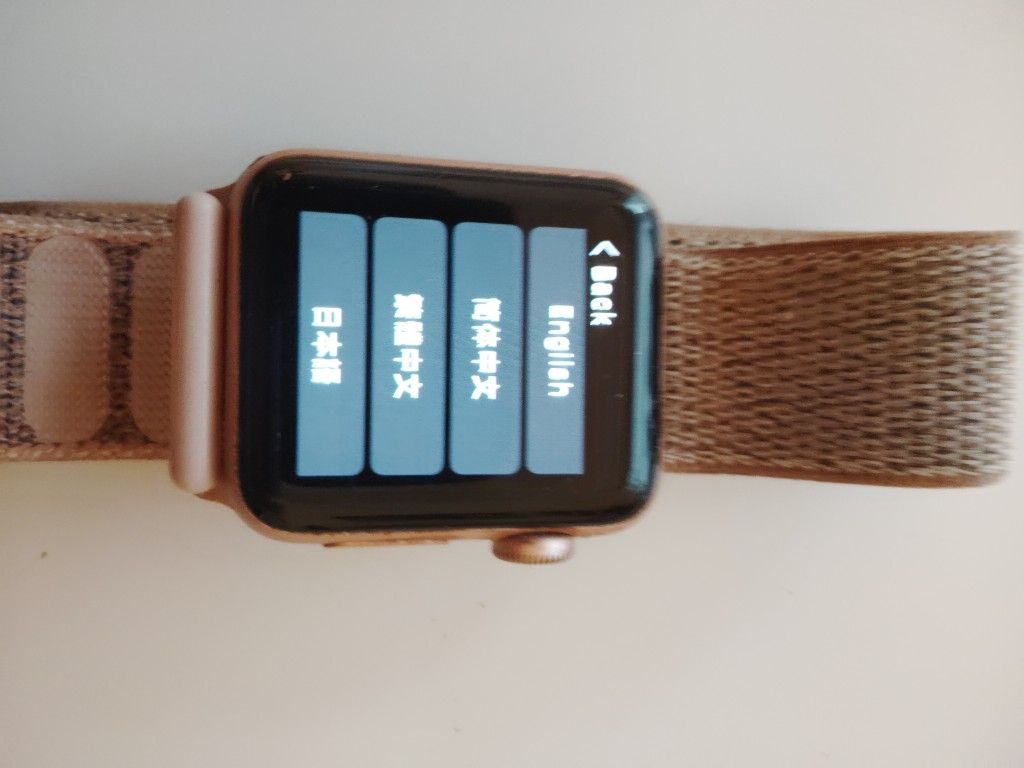 Apple Watch Series 3 Rose Gold I'm Moving The Stuff From