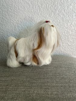 Small standing Shih Tzu 