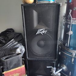 Passive Peavy Speakers 
