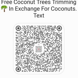 Will Trim Coconut Trees For Free In Exchange For Coconuts 🥥 