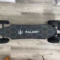 Raldey Off-road Electric Skateboard