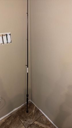 Daiwa tatula rod.