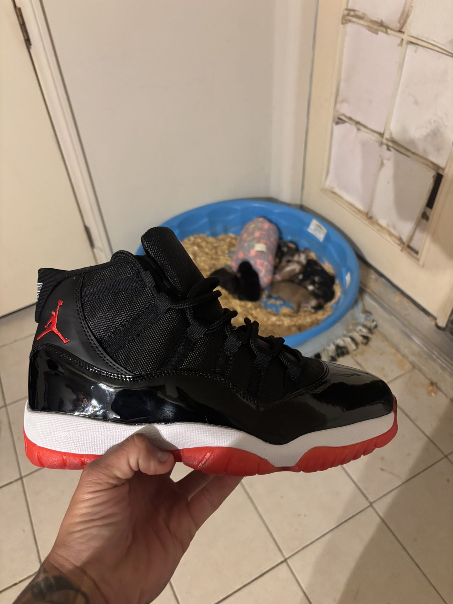 Jordan 11