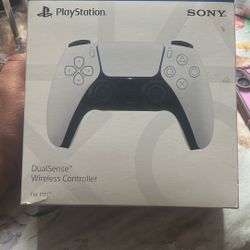 Ps5 Remote 