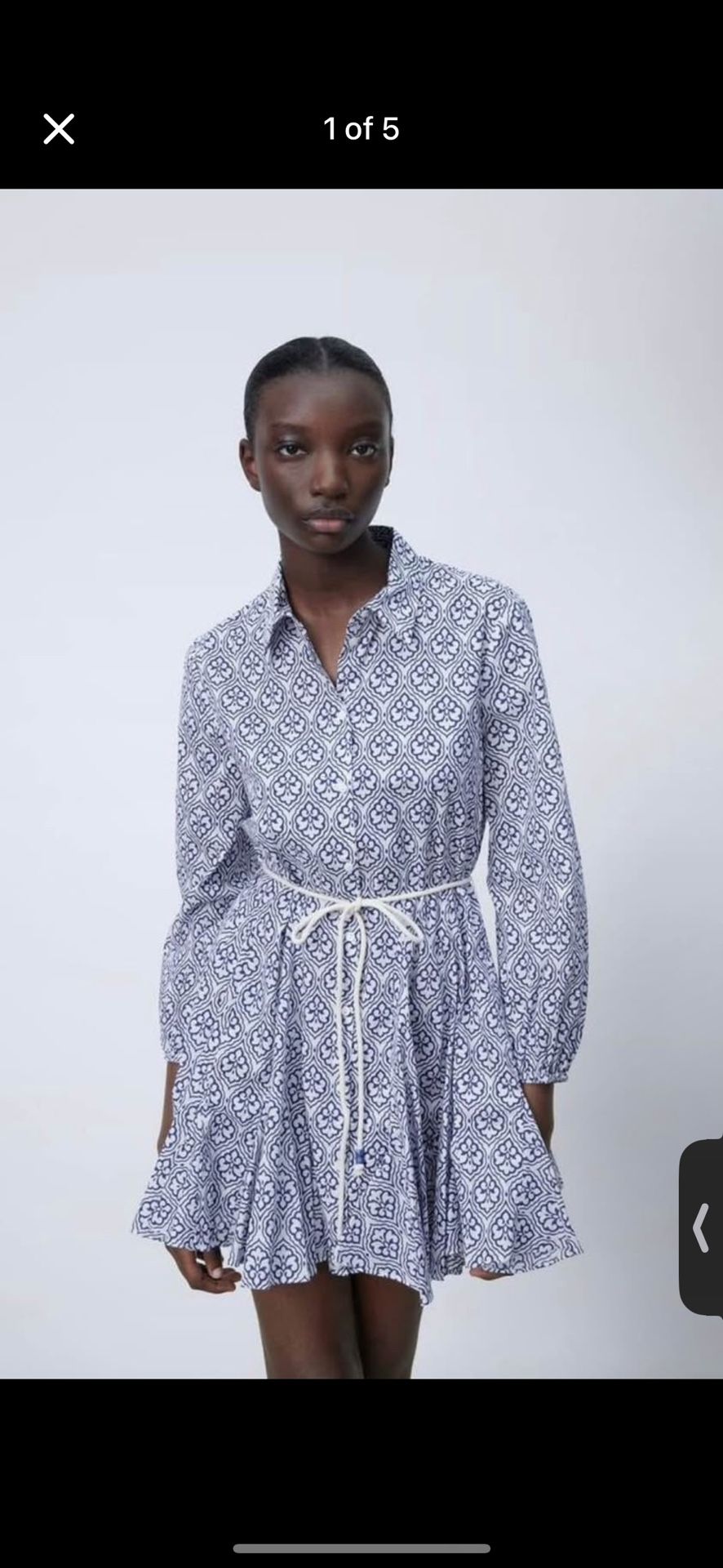 Zara Dress