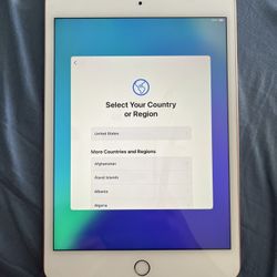 iPad Mini 64gb (5th Gen) - Rose Gold 