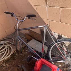 Mans 36’ Bicycle Frame 