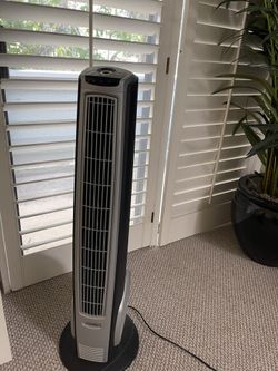 Fan