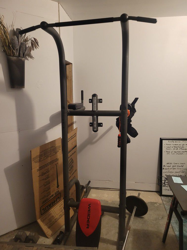 Weider Pull-up Home  Gym 🏋️‍♂️ Workout 