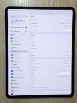 Apple iPad Pro 13" M5 2025 256GB Wi-Fi + Cellular ~ %100 Battery Health + Apple Warranty