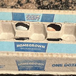 1 Dozen  Egg Cartoon 