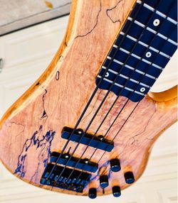 Ray Rogers Fodera luthier custom active 5 string bass